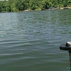 Meet your Posher, Aj